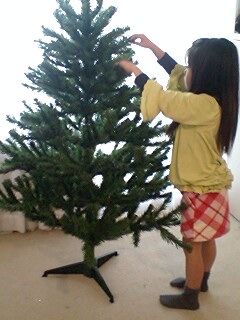 20091126tree1.jpg