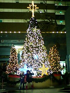 20091211illumi1.jpg