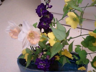 2009416flower2.jpg