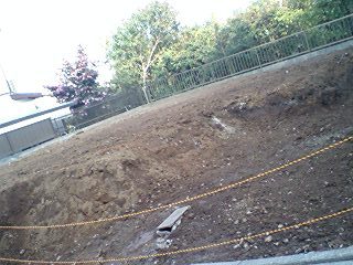 2009dodome1.jpg