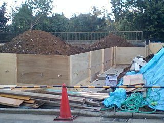 2009dodome2.jpg