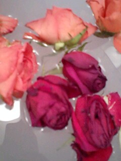 2010012101.jpg