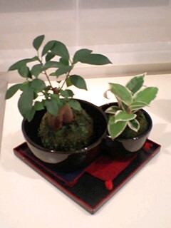 2010092801.jpg