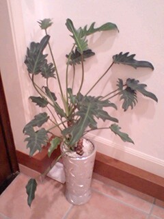 2010092803.jpg