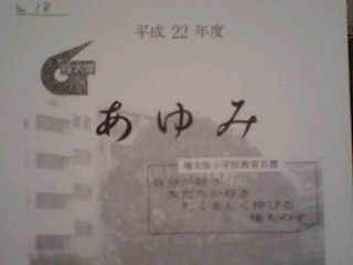 2010101202.jpg