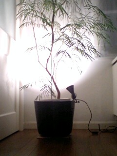 2010102001.jpg