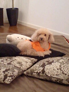 2010110501.jpg