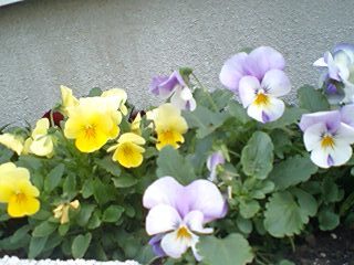 2010120801.jpg