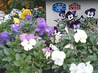 2010120802.jpg