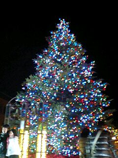 2010122703.jpg