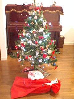 2010122901.jpg