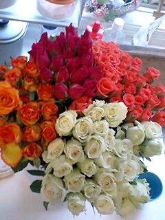 2011010501.jpg