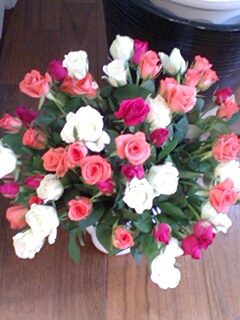 2011010502.jpg