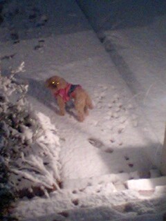 2011021501.jpg