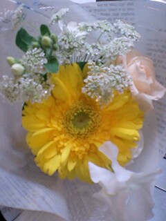 201102210201.jpg