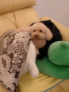 2011040401.jpg