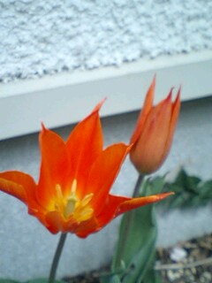 20110415004.jpg
