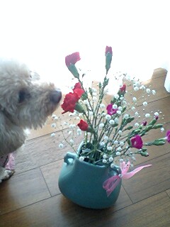 2011050902.jpg
