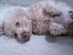 berry0524.jpg