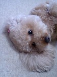 berry06162.jpg