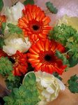 bunchofflower1.jpg
