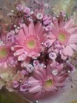 bunchofflower2.jpg