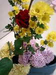 flower01232.jpg