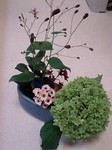 flower09252.jpg
