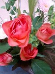 flower12063.jpg