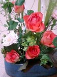 flower12066.jpg
