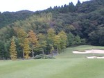 golf2008102.jpg