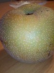 pear2.jpg