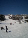 snow1.jpg