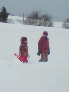 snow4.jpg