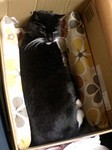 tabibox1.jpg