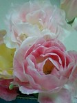 tulip2.jpg