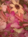 weddingflower2.jpg